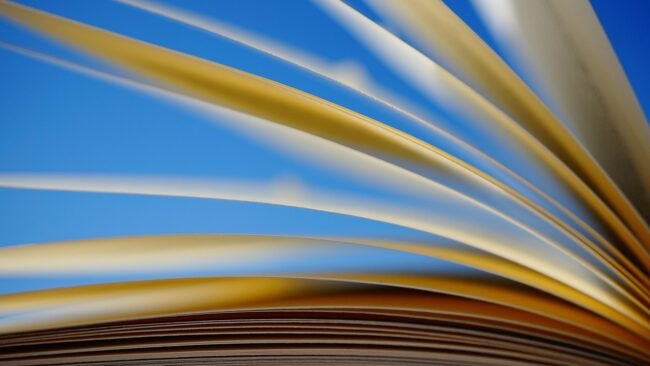 A person reading a small guide or PDF document at a desk. — cheap PDF strategy